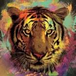 Puzzle Tiger 150 Teile