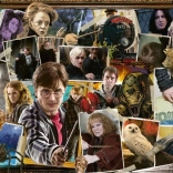 Harry Potter: Voldemort Puzzle 1000 Teile
