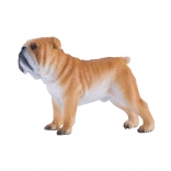 Mojo Englische Bulldogge – realistische Figur