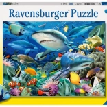 Puzzle Haifischriff von Ravensburger