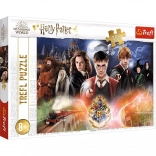 Puzzle HARRY POTTER – 300 Teile