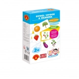 Spiel mit der Schule - Obst und Gemüse