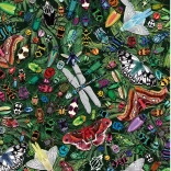 Puzzle Geflügelte Wunder 1000 Teile von Gibsons