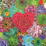 Puzzle Sukkulentenparadies 500 Teile