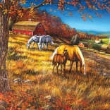 Puzzle COBBLE HILL Begegnung am Hang 2000 Teile