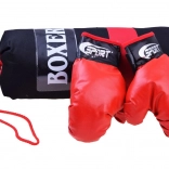 Boxset mit Handschuhen und Boxsack