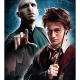 Puzzle 500 Teile HARRY POTTER
