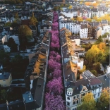 Ravensburger Puzzle 1500 Stück Bonn, Deutschland