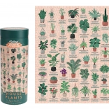 Puzzle Zimmerpflanzen 1000 Teile RIDLEY'S GAMES