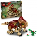 Lego Jurassic World Dino-Baby Dolores Aquilops Bauset