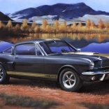 Plastikmodell Shelby Mustang GT350H