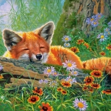 Puzzle 500 Teile Foxy Dreams