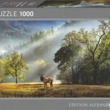 Puzzle mit 1000 Teilen – Morgengruß