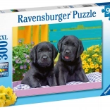 Ravensburger Puzzle Puppy Life 300 Teile