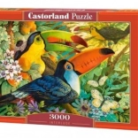 Puzzle 3000 Teile – Tukane Interlude CASTORLAND