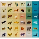 Puzzle CLOUDBERRIES Fauna 1000 Teile