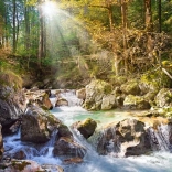 Puzzle Bächlein im Wald 2000 Teile