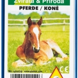 Quartett - Pferde in Plastikbox