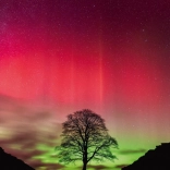 Heye Puzzle Kraft der Natur: Sycamore Gap 1000 Teile