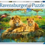 Ravensburger Puzzle Löwen in der Savanne 500 Teile