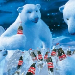 Puzzle Coca Cola Eisbären 1000 Teile