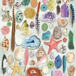 Gibsons Puzzle Natürliche Kuriositäten 1000 Teile