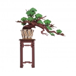 RoboTime 3D Holzpuzzle Bonsai-Kiefer