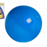 Gymnastikball 75 cm für Rehabilitation und Heimtraining