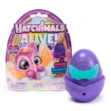 Hatchimals Neon-Regenbogen