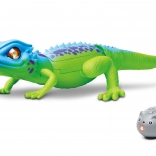 RC-Eidechse mit Fernsteuerung 35 cm