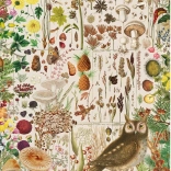 Puzzle Herbstflora 1000 Teile GIBSONS